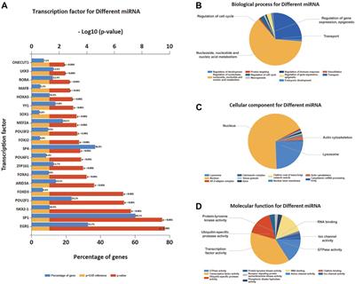 Construction of ceRNA network and identification of hub genes in aniridia-associated keratopathy using bioinformatics analysis